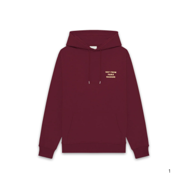 Le Hoodie Slogan 7637